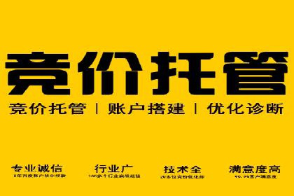 行业领先企业的网络推广与竞价经验